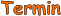 Termin