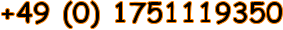+49 (0) 1751119350