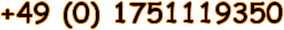 +49 (0) 1751119350